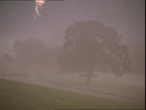 108221524-via-nebbia-autunno-latifoglia